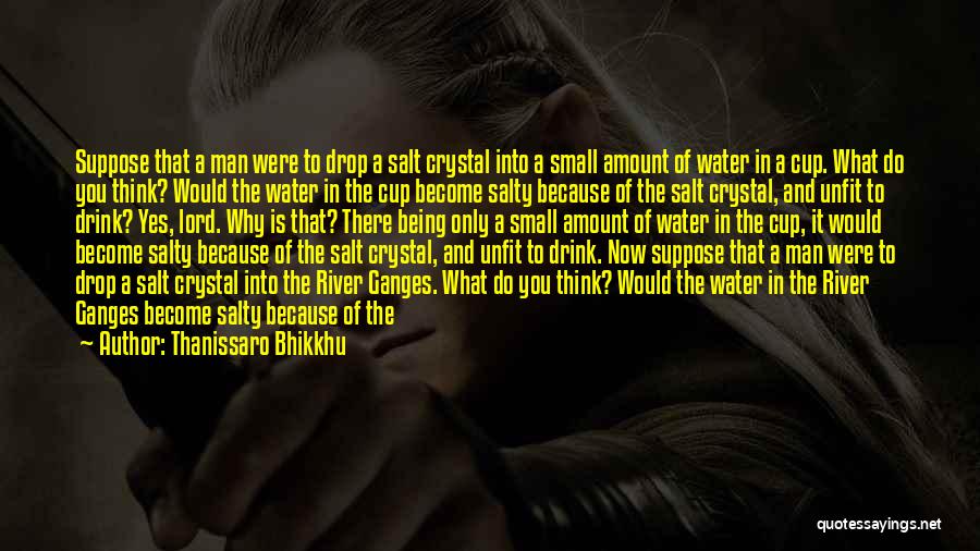 Water Drop Quotes By Thanissaro Bhikkhu