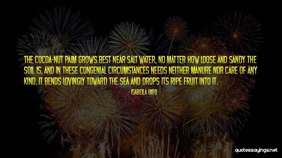 Water Drops Quotes By Isabella Bird