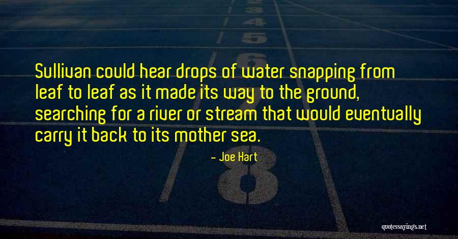 Water Drops Quotes By Joe Hart