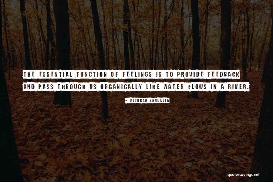 Water Essential Quotes By Deborah Sandella Water Essential Quotes By Deborah Sandella