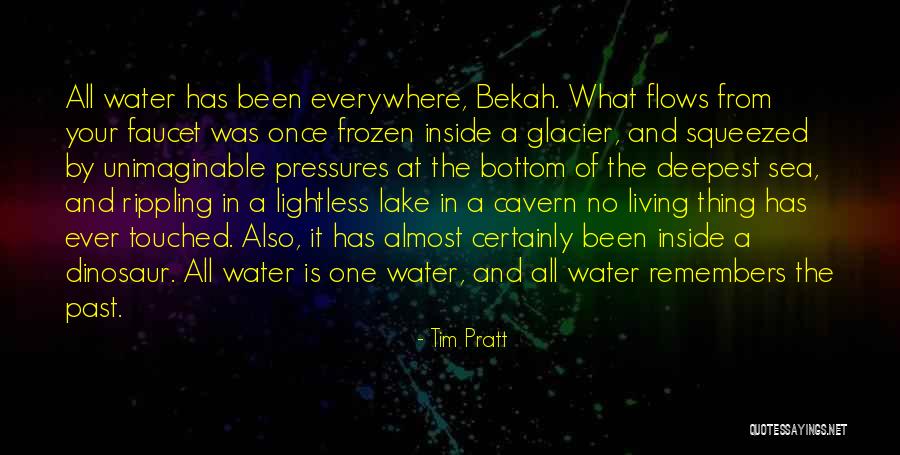 Water Faucet Quotes By Tim Pratt