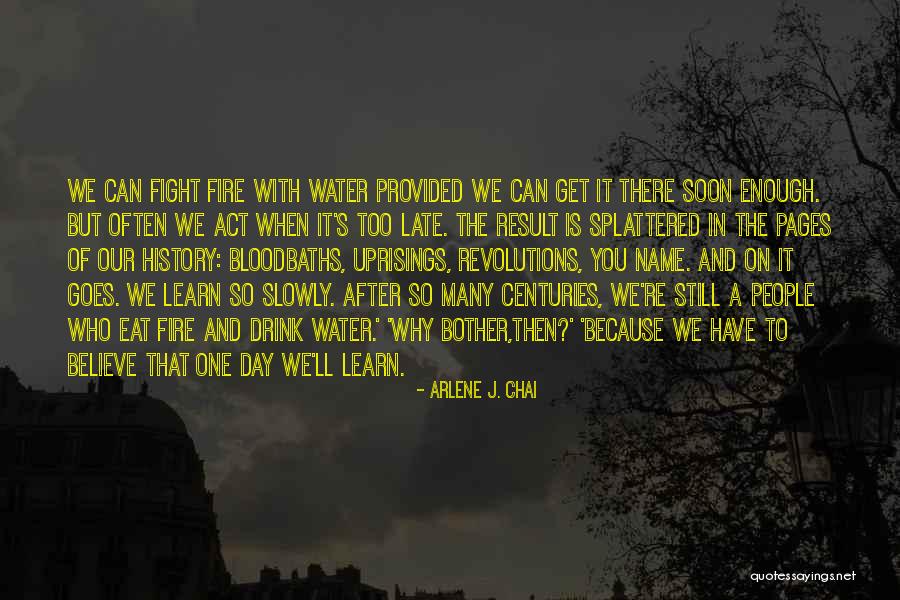 Water Fight Quotes By Arlene J. Chai Water Fight Quotes By Arlene J. Chai