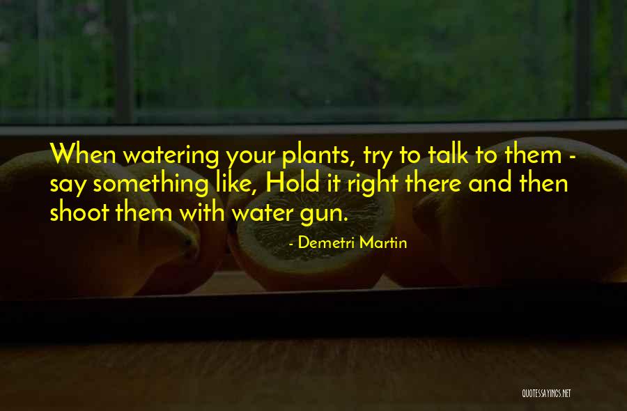 Water Gun Quotes By Demetri Martin