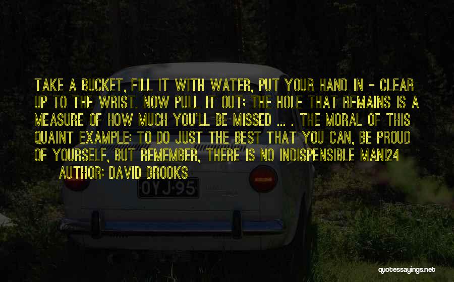 Water Hole Quotes By David Brooks