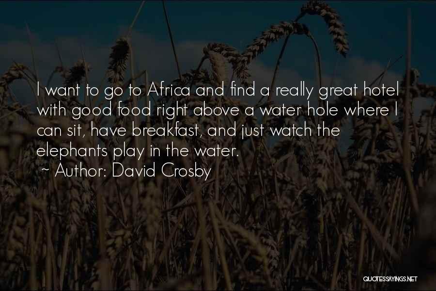 Water Hole Quotes By David Crosby