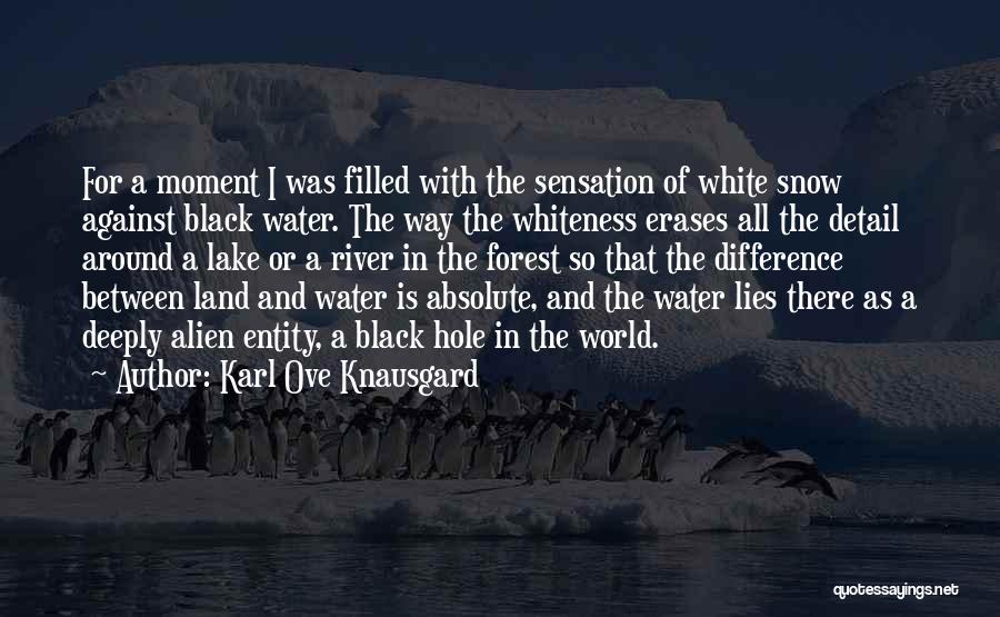 Water Hole Quotes By Karl Ove Knausgard