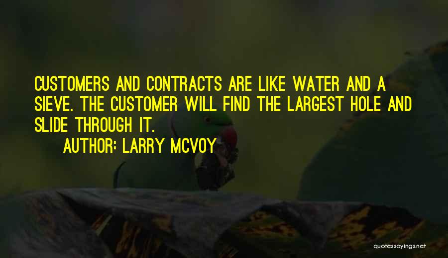 Water Hole Quotes By Larry McVoy