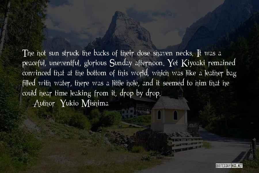 Water Hole Quotes By Yukio Mishima