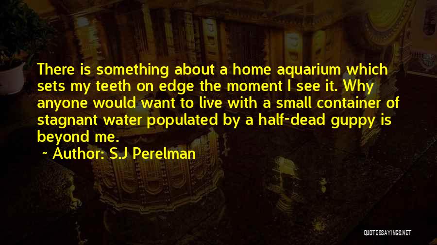 Water Home Quotes By S.J Perelman