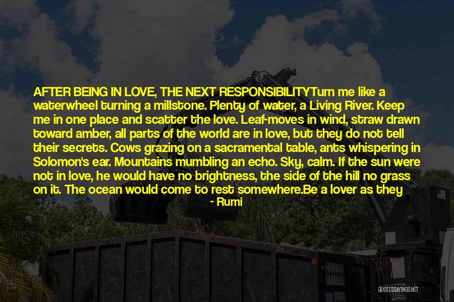 Water In The World Quotes By Rumi Water In The World Quotes By Rumi