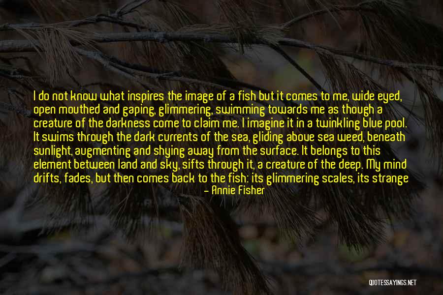 Water Is Wide Quotes By Annie Fisher Water Is Wide Quotes By Annie Fisher