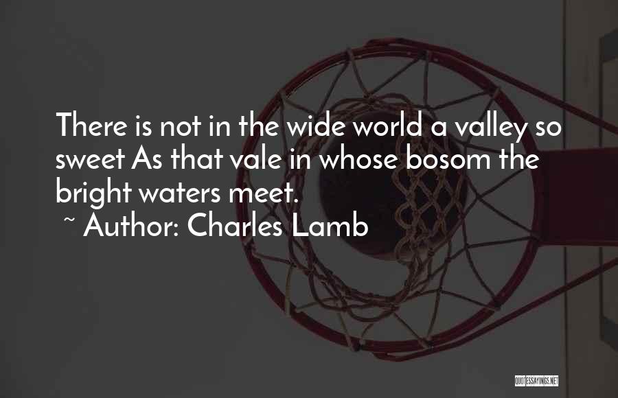 Water Is Wide Quotes By Charles Lamb