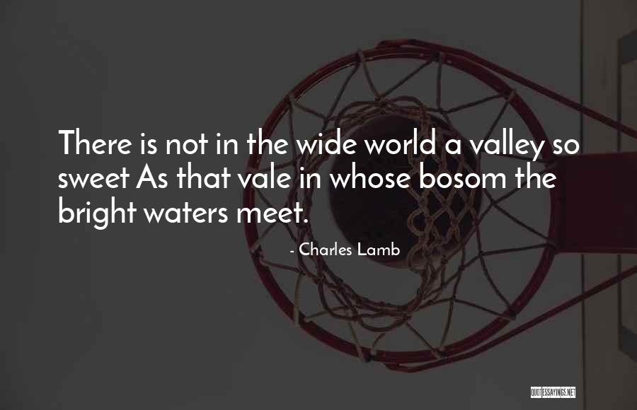 Water Is Wide Quotes By Charles Lamb