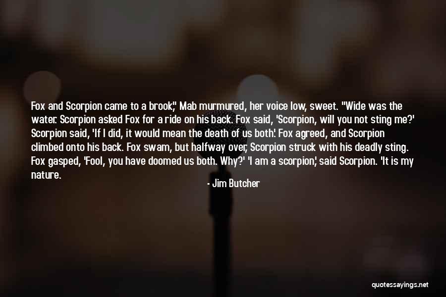 Water Is Wide Quotes By Jim Butcher