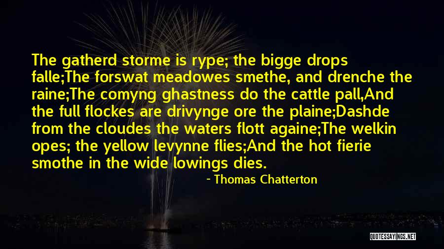 Water Is Wide Quotes By Thomas Chatterton