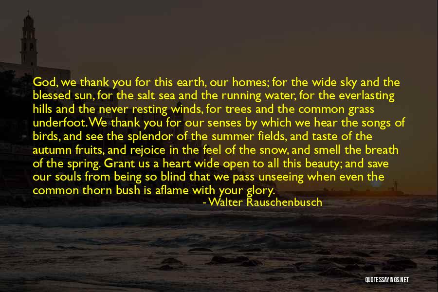 Water Is Wide Quotes By Walter Rauschenbusch Water Is Wide Quotes By Walter Rauschenbusch