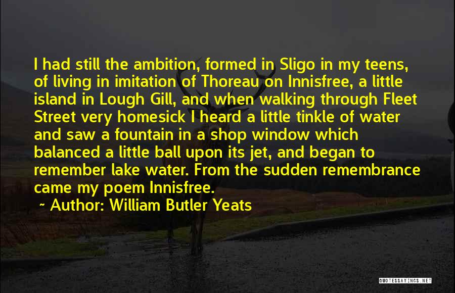 Water Jet Quotes By William Butler Yeats