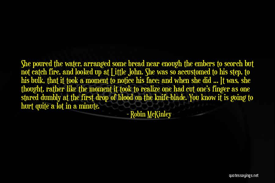Water Like Fire Quotes By Robin McKinley Water Like Fire Quotes By Robin McKinley
