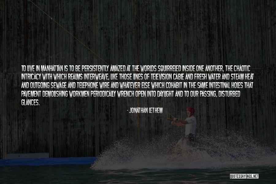 Water Lines Quotes By Jonathan Lethem Water Lines Quotes By Jonathan Lethem