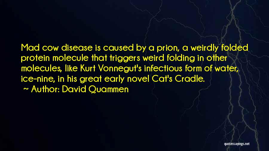 Water Molecule Quotes By David Quammen