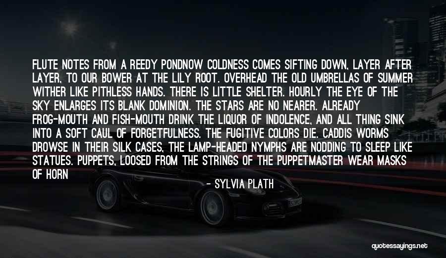 Water Nymphs Quotes By Sylvia Plath