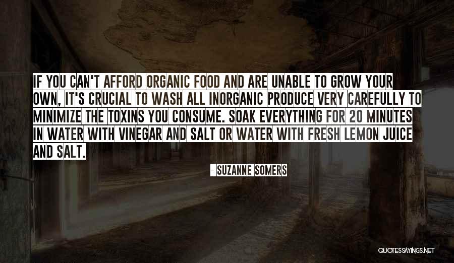Water Organic Or Inorganic Quotes By Suzanne Somers Water Organic Or Inorganic Quotes By Suzanne Somers