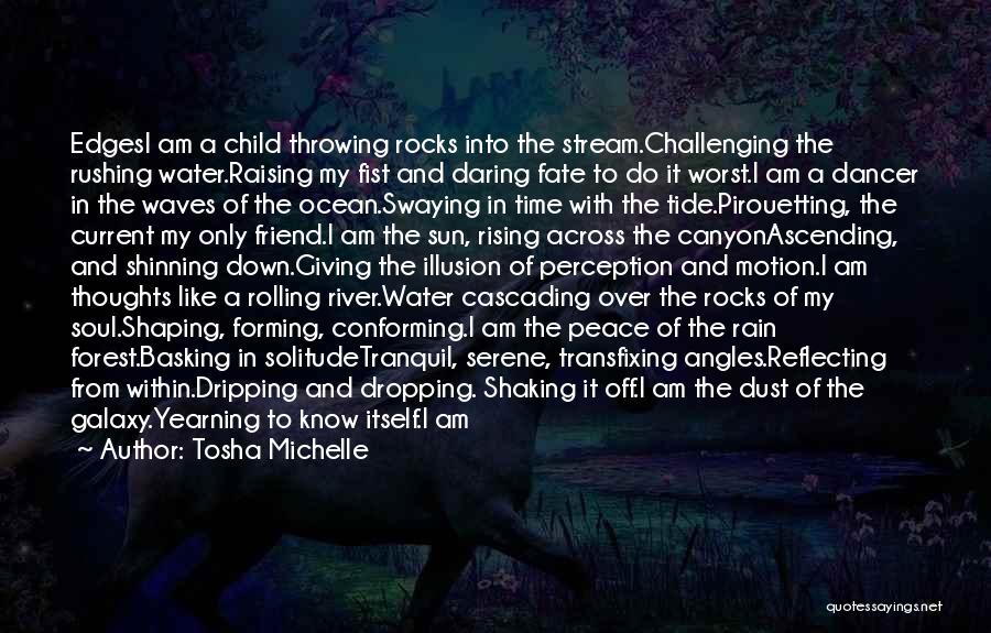 Water Over Rocks Quotes By Tosha Michelle