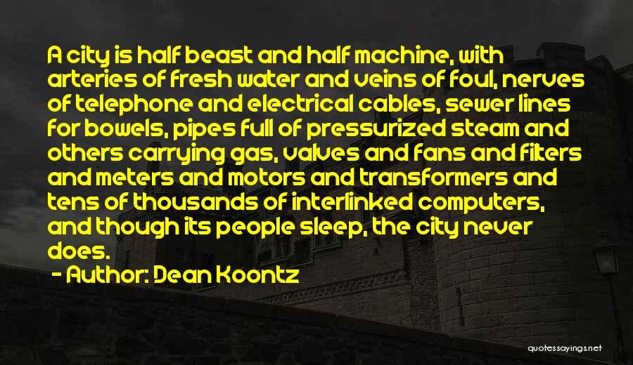 Water Pipes Quotes By Dean Koontz