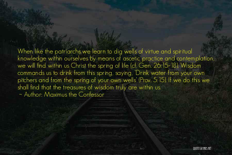 Water Pitchers Quotes By Maximus The Confessor