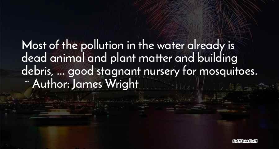 Water Pollution Quotes By James Wright