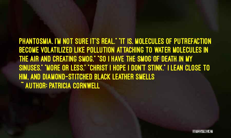 Water Pollution Quotes By Patricia Cornwell