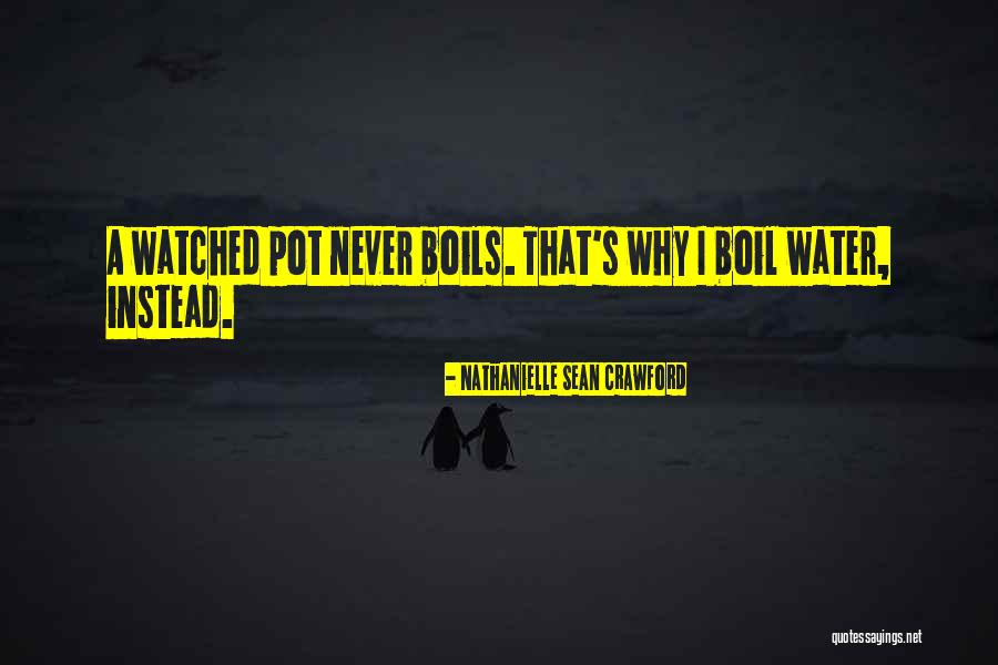 Water Pot Quotes By Nathanielle Sean Crawford