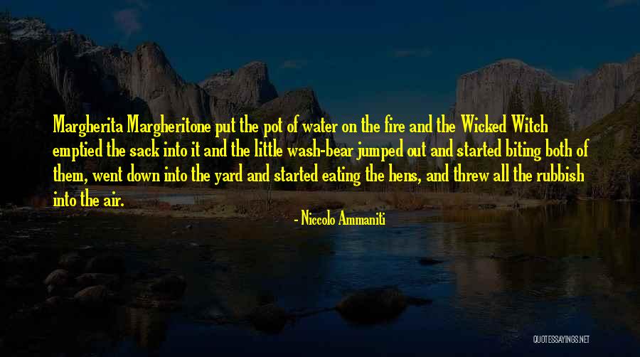 Water Pot Quotes By Niccolo Ammaniti