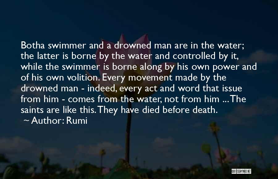 Water Power Quotes By Rumi