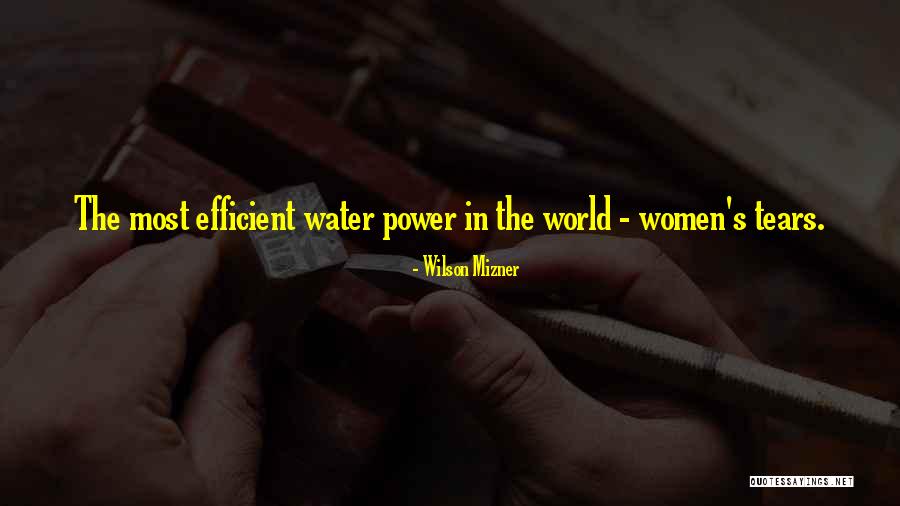 Water Power Quotes By Wilson Mizner