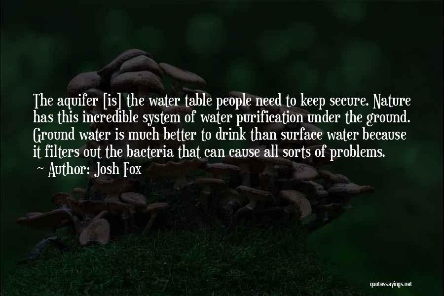 Water Problems Quotes By Josh Fox