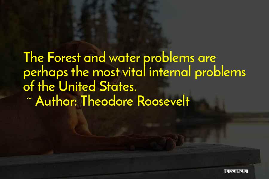 Water Problems Quotes By Theodore Roosevelt