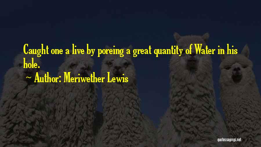 Water Quantity Quotes By Meriwether Lewis