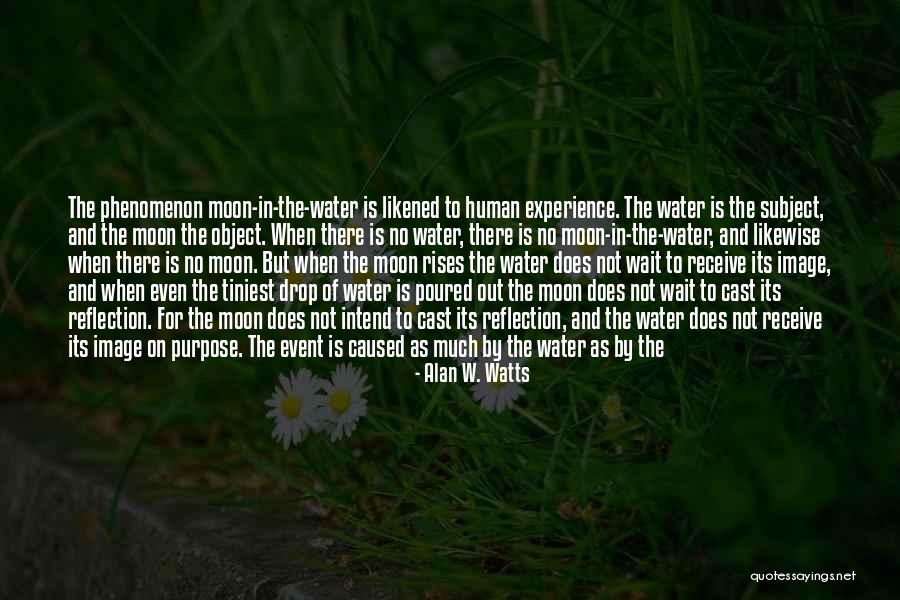 Water Reflection Quotes By Alan W. Watts