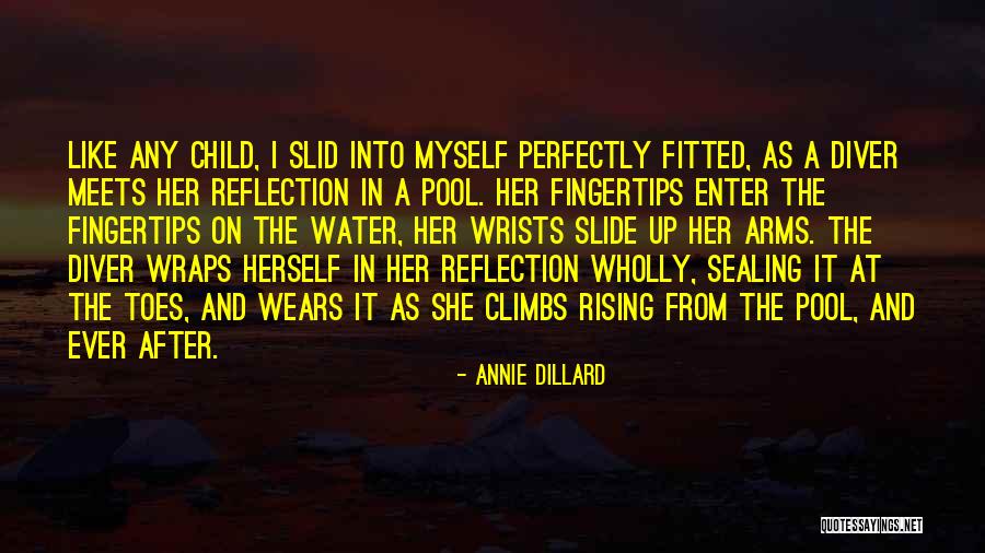 Water Reflection Quotes By Annie Dillard