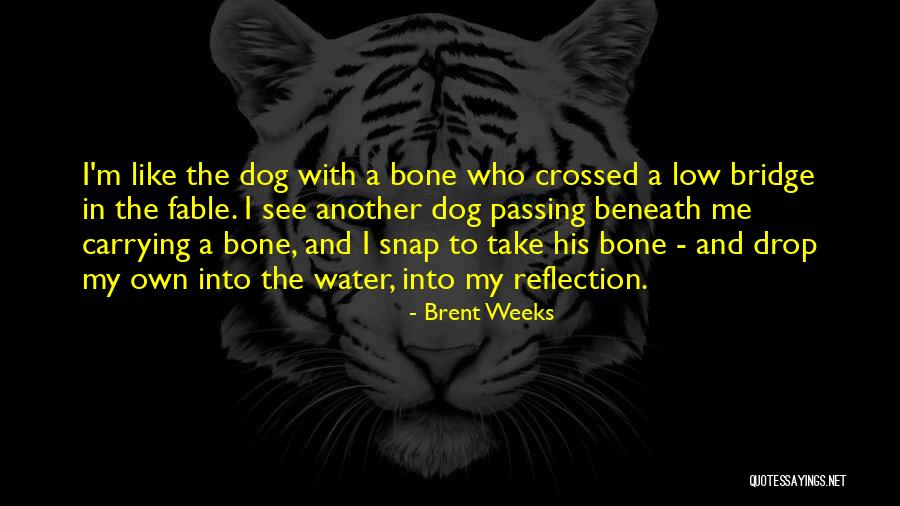 Water Reflection Quotes By Brent Weeks Water Reflection Quotes By Brent Weeks