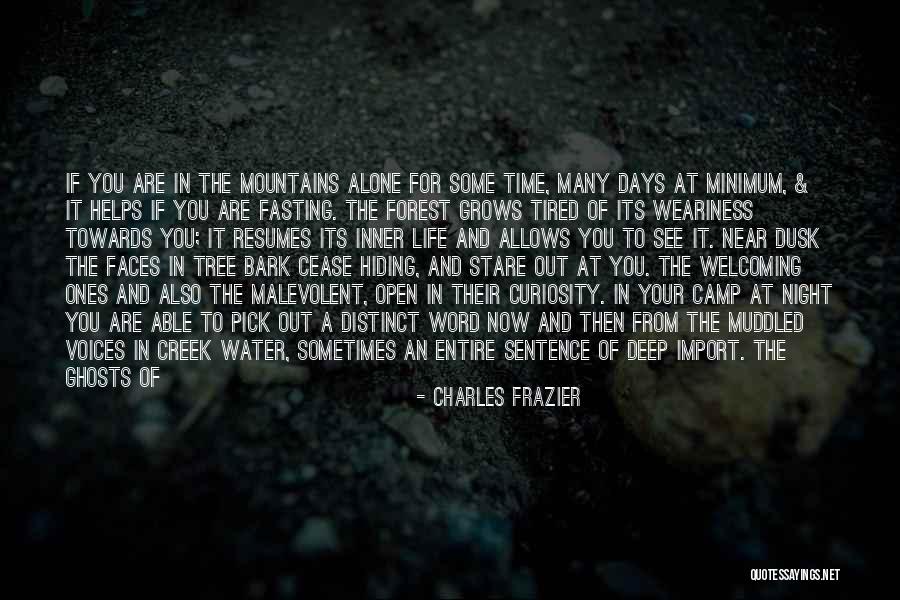 Water Reflection Quotes By Charles Frazier Water Reflection Quotes By Charles Frazier
