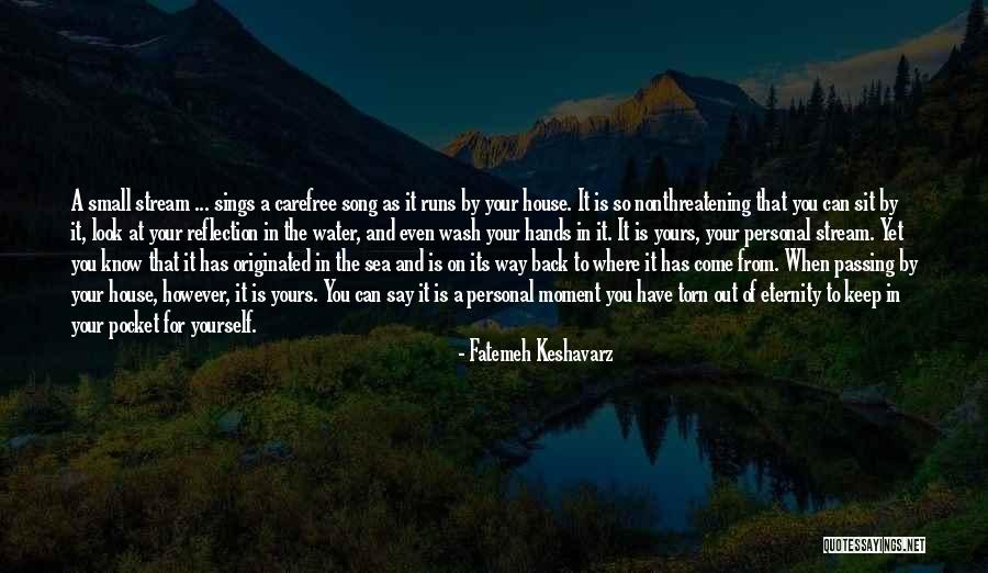 Water Reflection Quotes By Fatemeh Keshavarz Water Reflection Quotes By Fatemeh Keshavarz