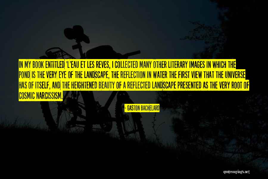 Water Reflection Quotes By Gaston Bachelard Water Reflection Quotes By Gaston Bachelard