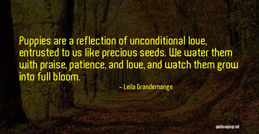 Water Reflection Quotes By Leila Grandemange