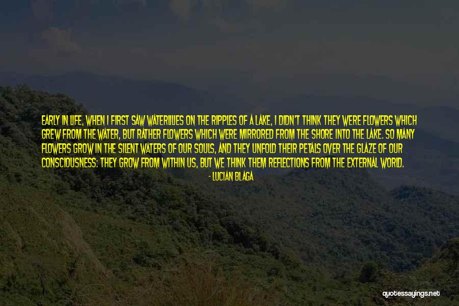 Water Reflection Quotes By Lucian Blaga Water Reflection Quotes By Lucian Blaga