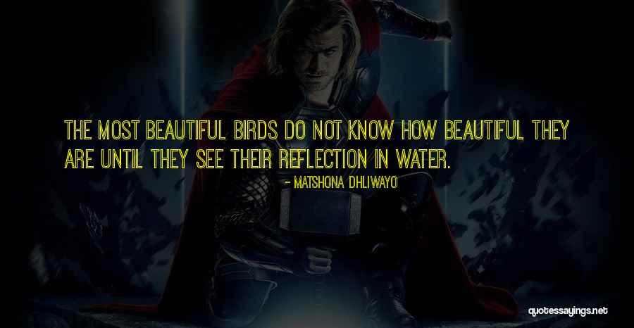 Water Reflection Quotes By Matshona Dhliwayo Water Reflection Quotes By Matshona Dhliwayo