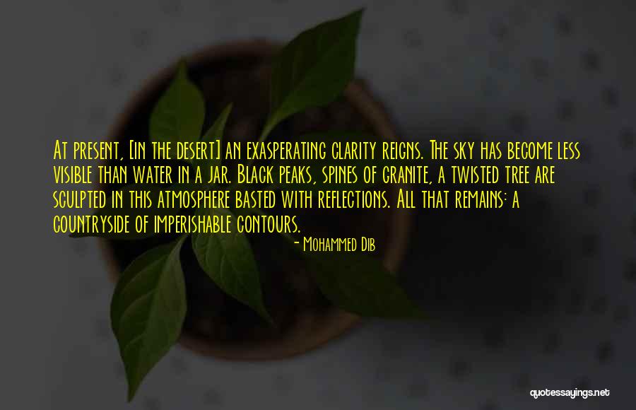 Water Reflection Quotes By Mohammed Dib Water Reflection Quotes By Mohammed Dib