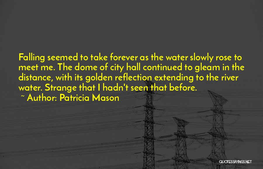 Water Reflection Quotes By Patricia Mason