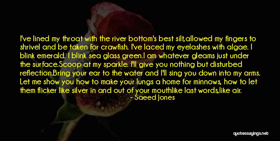Water Reflection Quotes By Saeed Jones Water Reflection Quotes By Saeed Jones